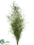 Silk Plants Direct Preserved Asparagus Fern Bundle - Green - Pack of 6
