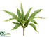 Silk Plants Direct Aslenium Fern Bush - Green - Pack of 12