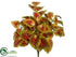 Silk Plants Direct Coleus Plant - Green Red - Pack of 12
