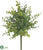 Boxwood Bush - Green Burgundy - Pack of 24