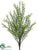 Boxwood Bush - Green - Pack of 12