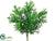 Boxwood Bush - Green - Pack of 24