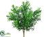 Silk Plants Direct Boxwood Bush - Green - Pack of 24