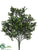 Outdoor Boxwood Bush - Green - Pack of 12