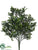 Outdoor Boxwood Bush - Green - Pack of 12