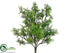 Silk Plants Direct Baby's Tear Bush - Green Light - Pack of 12