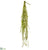 Button Fern Leaf Hanging Bush - Green - Pack of 12