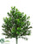 Boxwood Bush - Green - Pack of 12