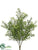 Boxwood Bush - Green Two Tone - Pack of 12