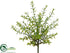 Silk Plants Direct Boxwood Bush - Green Burgundy - Pack of 12