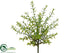 Silk Plants Direct Boxwood Bush - Green Burgundy - Pack of 12