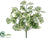 Silk Plants Direct Begonia Leaf Bush - Green Cream - Pack of 12