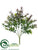 Boxwood Bush - Green Burgundy - Pack of 24