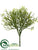Corokia Leaf Bush - Green - Pack of 12
