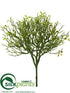 Silk Plants Direct Corokia Leaf Bush - Green - Pack of 12