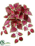 Silk Plants Direct Coleus Bush - Beauty - Pack of 12