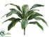 Silk Plants Direct Cordyline Shrub Plant - Green White - Pack of 12