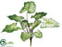 Silk Plants Direct Caladium Bush - Green White - Pack of 12