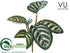 Silk Plants Direct Outdoor Calathea Roseopicta Bush - Green - Pack of 12