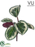 Silk Plants Direct Outdoor Calathea Orbifolia Bush - Green - Pack of 12
