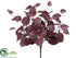 Silk Plants Direct Coleus Bush - Burgundy - Pack of 12