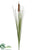 Cattail Bush - Brown Light - Pack of 24