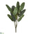 Calathea Plant Bush - Green - Pack of 6