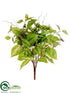 Silk Plants Direct Coleus Bush - Green Cream - Pack of 12