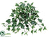 Silk Plants Direct Ivy Hanging Bush - Green White - Pack of 36