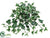 Ivy Hanging Bush - Green White - Pack of 36