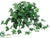 Ivy Hanging Bush - Green - Pack of 36