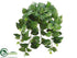 Silk Plants Direct Pothos Hanging Vine Plant - Green White - Pack of 12