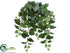 Silk Plants Direct Swedish Ivy Hanging Bush - Green - Pack of 12