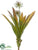 Flowering Dracaena Bush - Tan - Pack of 12