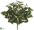 Silk Plants Direct Coleus Plant - Green Cream - Pack of 12