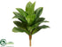 Silk Plants Direct Dracaena Plant - Green Light - Pack of 12