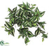Silk Plants Direct Wandering Jew Bush - Green White - Pack of 12