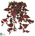 Silk Plants Direct Coleus Hanging Bush - Green Burgundy - Pack of 6