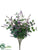 Eucalyptus, Berry Bush - Green Lavender - Pack of 12