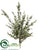 Eucalyptus Bush - Green Gray - Pack of 1