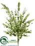 Silk Plants Direct Eucalyptus Bush - Green Light - Pack of 1