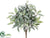 Eucalyptus Bush - Green Frosted - Pack of 12