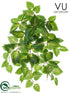 Silk Plants Direct Outdoor Coleus Bush - Green Cream - Pack of 12