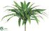 Silk Plants Direct Asplenium Fern Bush - Green - Pack of 12