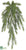 Sprengeri Fern Hanging Bush - Green - Pack of 12