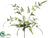 Lace Fern Plant Bush - Green - Pack of 12