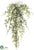 Lace Fern Hanging Bush - Green - Pack of 24