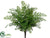 Maidenhair Fern Bush - Green - Pack of 12