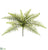 Sword Fern Bush - Green - Pack of 6