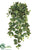 Lace Fern Bush - Green - Pack of 12